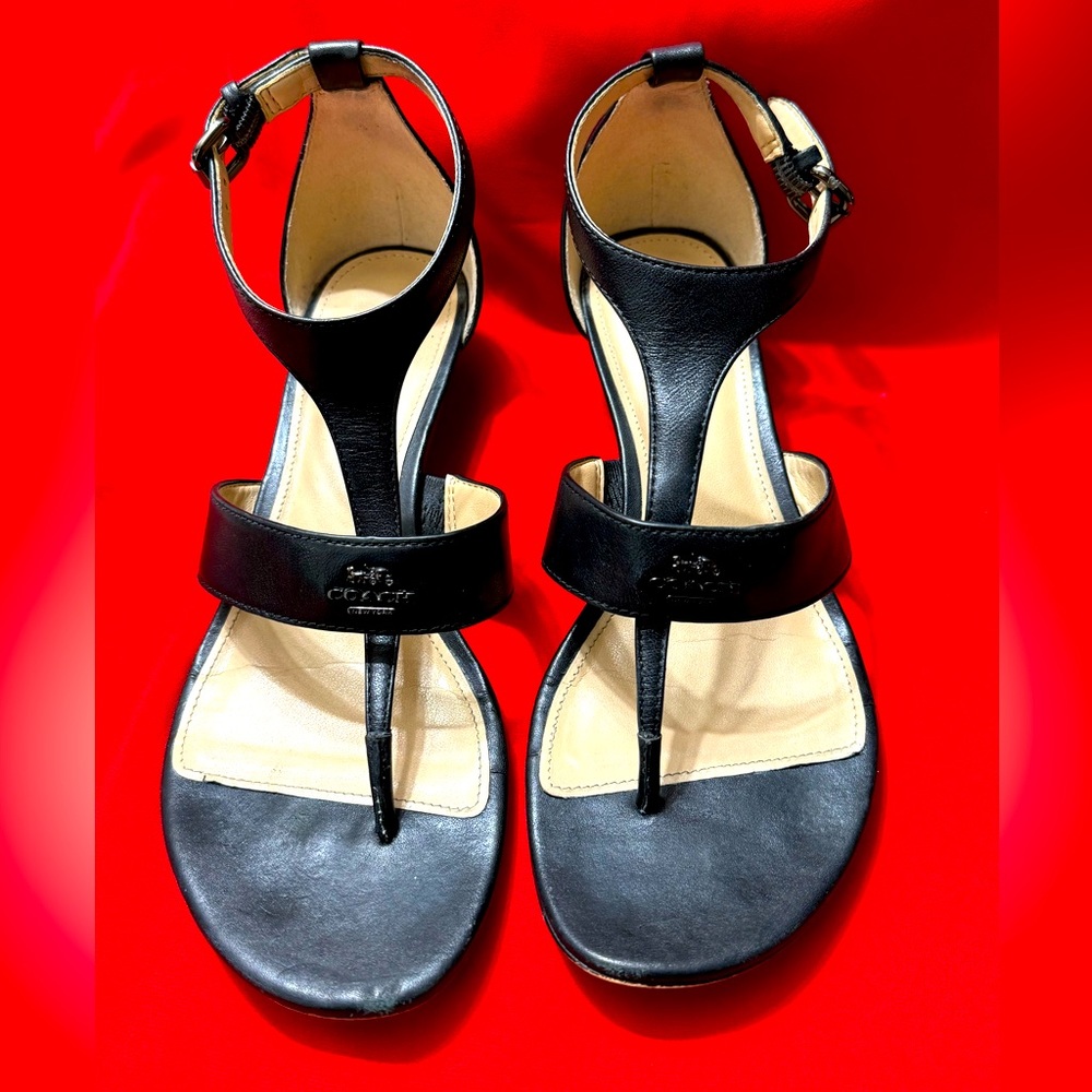 Coach women’s strap wedge sandals